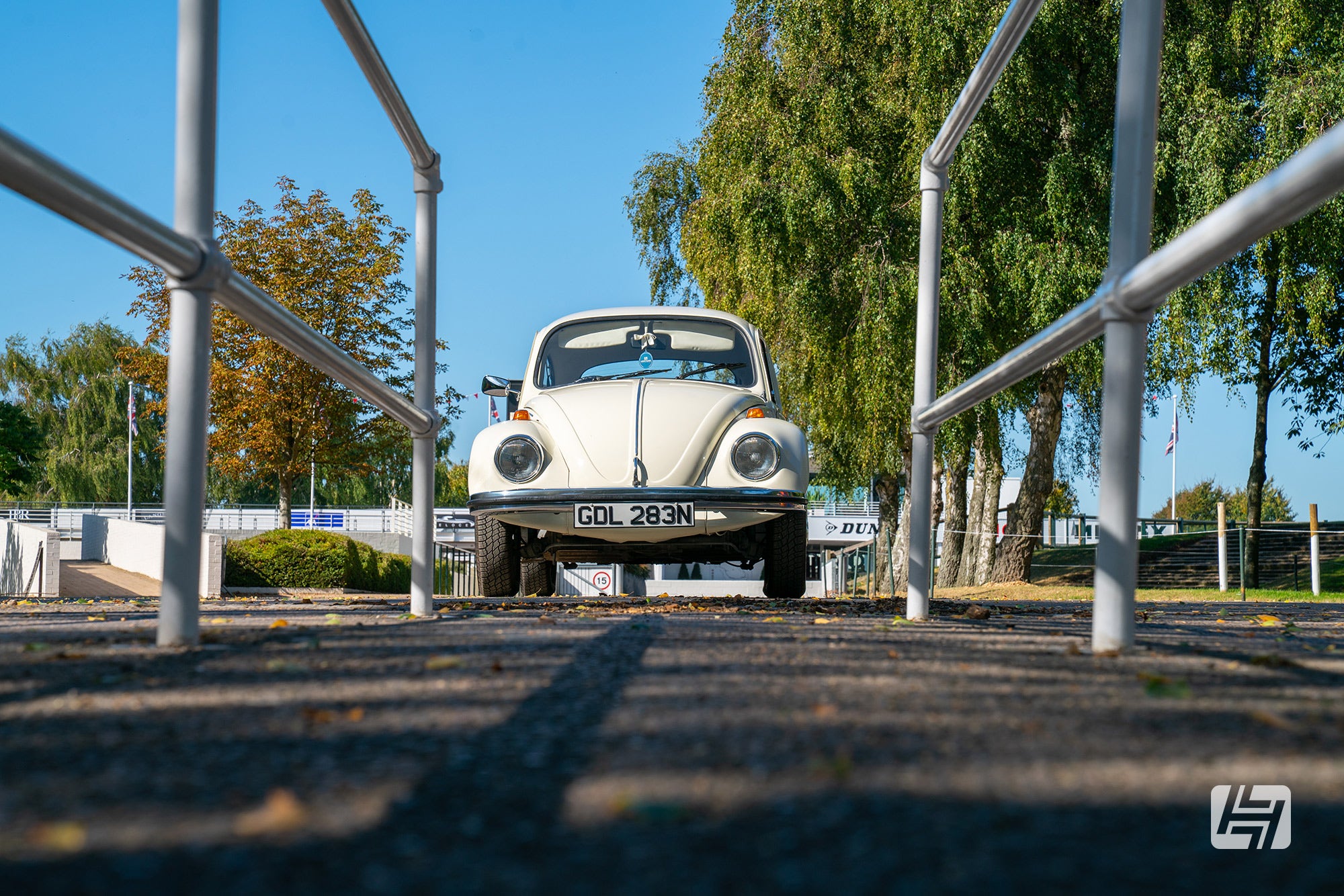 Used car buying guide: Volkswagen Beetle